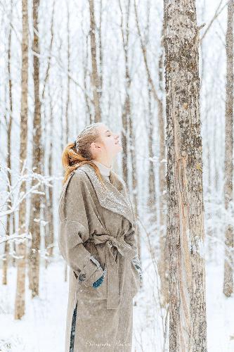 2026正版资料大全免费